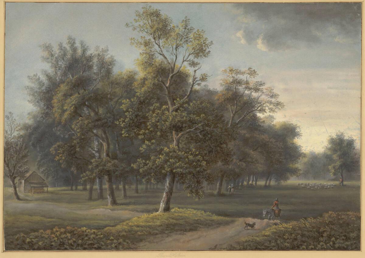 Therese Holbein von Holbeinsberg, Lichte Waldlandschaft mit Wiesen und bäuerlich-idyllischer Fi…