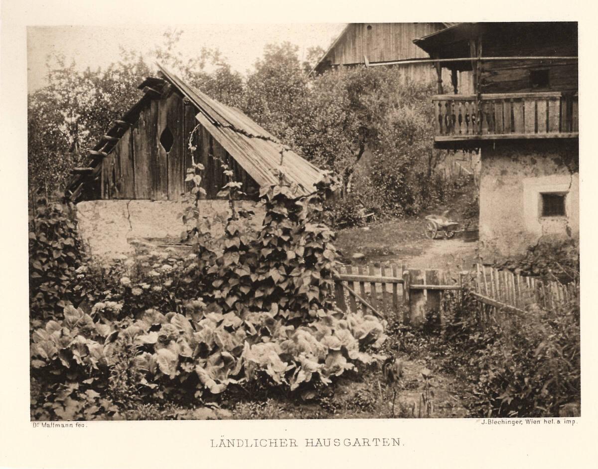 Friedrich Mallmann, Ländlicher Hausgarten, Inv. Nr.: FotoGLV2000/20151/17