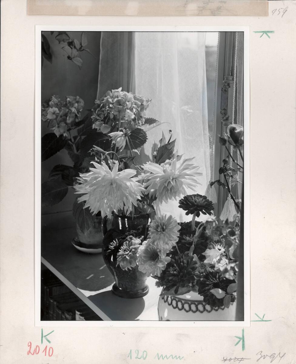 Paul Wolff, Ohne Titel, Inv. Nr.: FotoLS2000/41