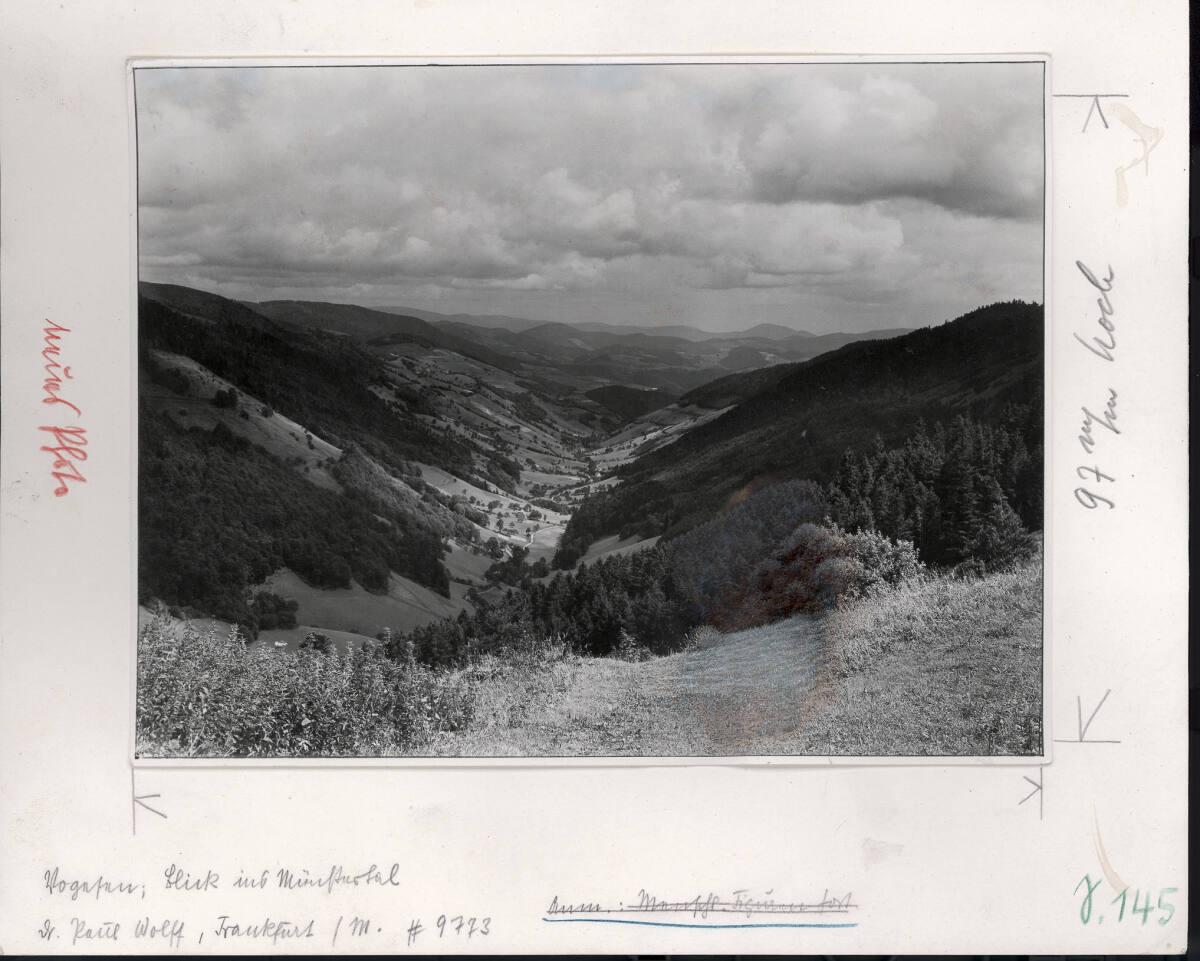 Paul Wolff, Vogesen, Blick ins Münstertal, Inv. Nr.: FotoLS2000/667