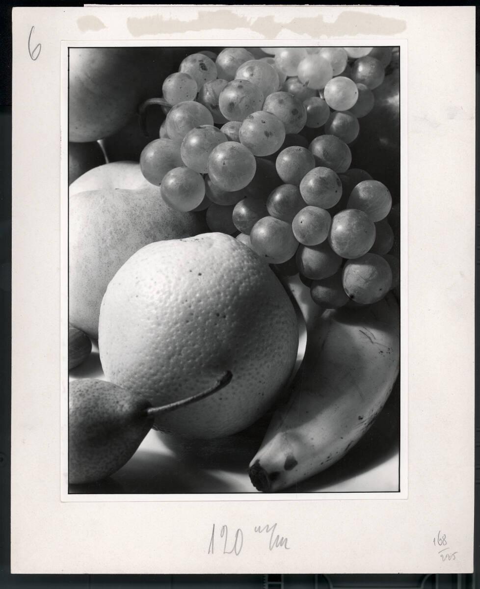 Paul Wolff, Ohne Titel, Inv. Nr.: FotoLS2000/745