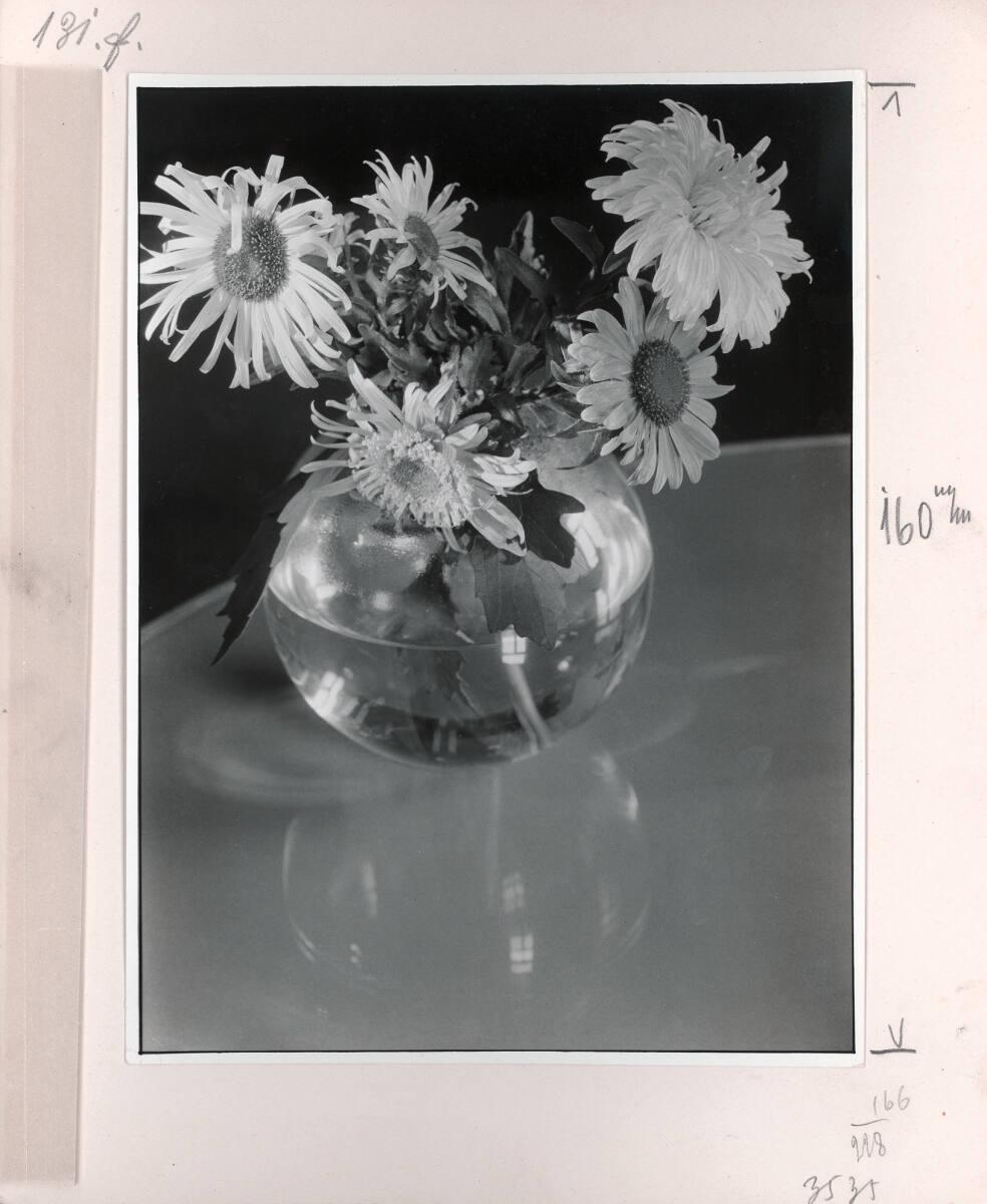 Paul Wolff, Ohne Titel, Inv. Nr.: FotoLS2000/1267