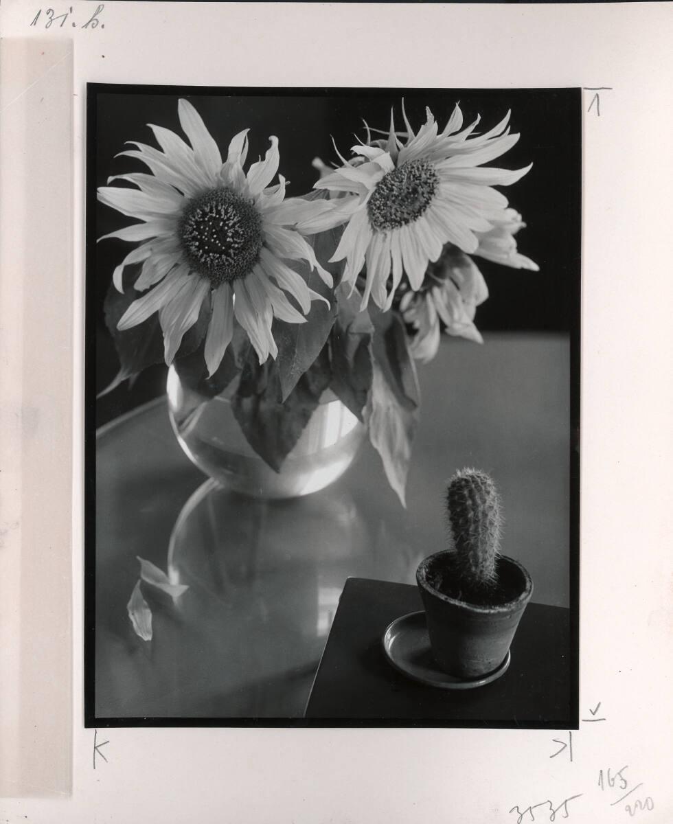 Paul Wolff, Ohne Titel, Inv. Nr.: FotoLS2000/1273