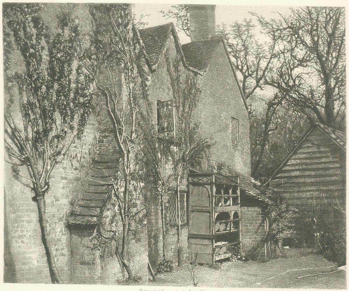 Paul Pretsch, Beehives - Burnham Beeches, Inv. Nr.: Foto2002/40/10