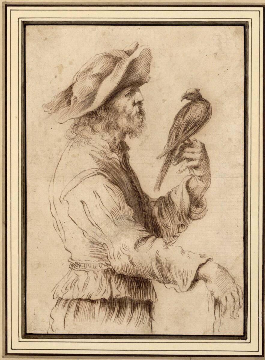 Anonym, Bärtiger Falkonier in Halbfigur nach rechts, Inv. Nr.: 2377