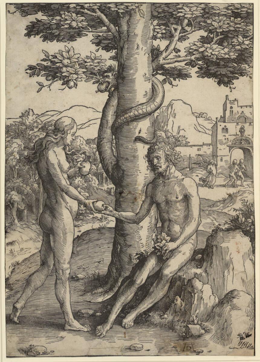 Lucas Hugensz. van Leyden, Der Sündenfall, Inv. Nr.: DG1926/1860