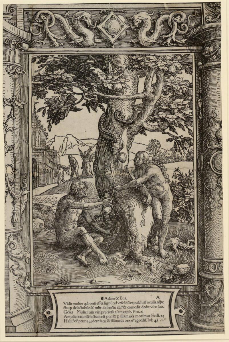 Lucas Hugensz. van Leyden, Der Sündenfall, Inv. Nr.: DG1926/1864