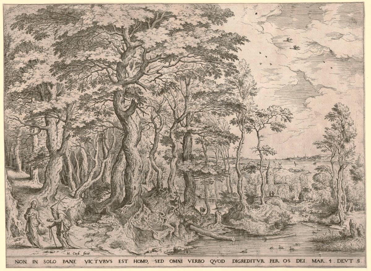 Landschaft mit der Versuchung Christi, Inv. Nr.: DG1957/338/2