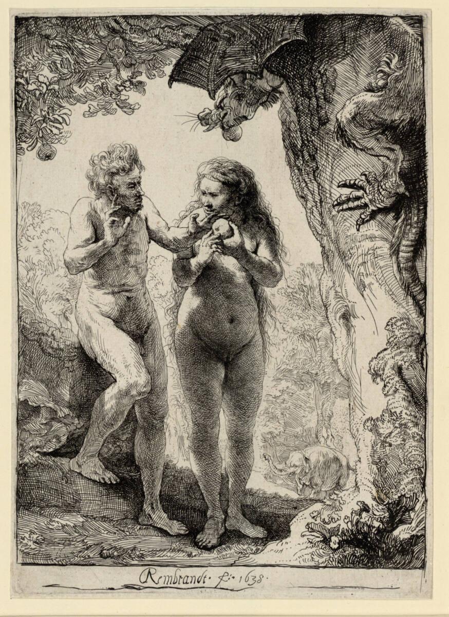 Rembrandt Harmensz. van Rijn, Adam und Eva (Der Sündenfall), Inv. Nr.: DG1926/38
