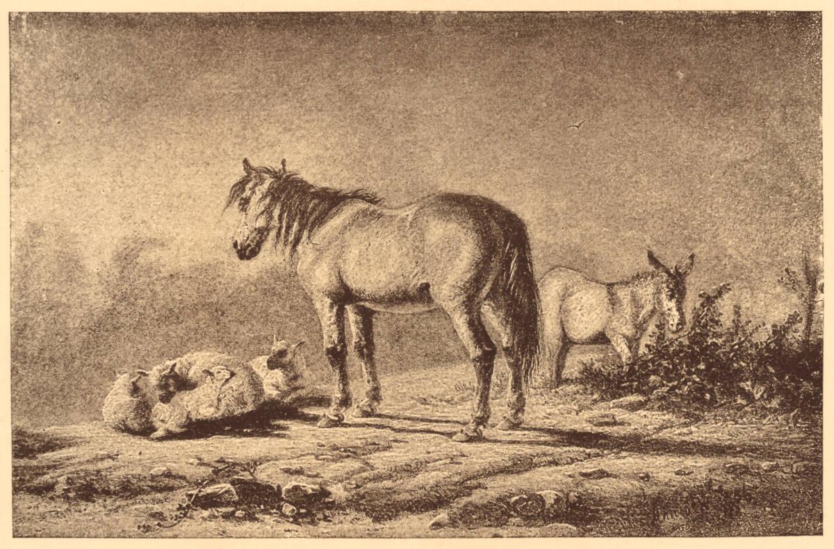 Paul Pretsch, Landschaft mit Pferd, Esel und Schafe nach einer Tuschezeichnung von Hancock, Inv…