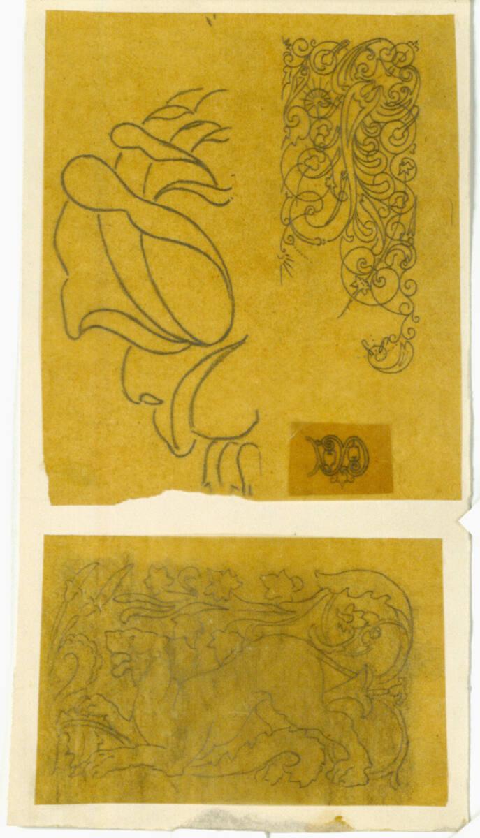 Carl von Hasenauer, Studien zu Ornamenten und Ranken, Inv. Nr.: CHA24