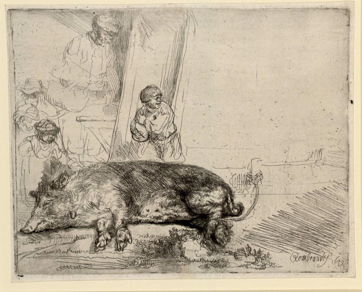 Rembrandt Harmensz. van Rijn, Das Schwein, Inv. Nr.: DG1926/284