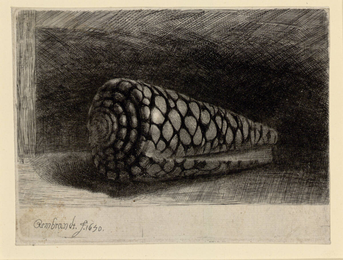 Die Schnecke, Rembrandt, 1650