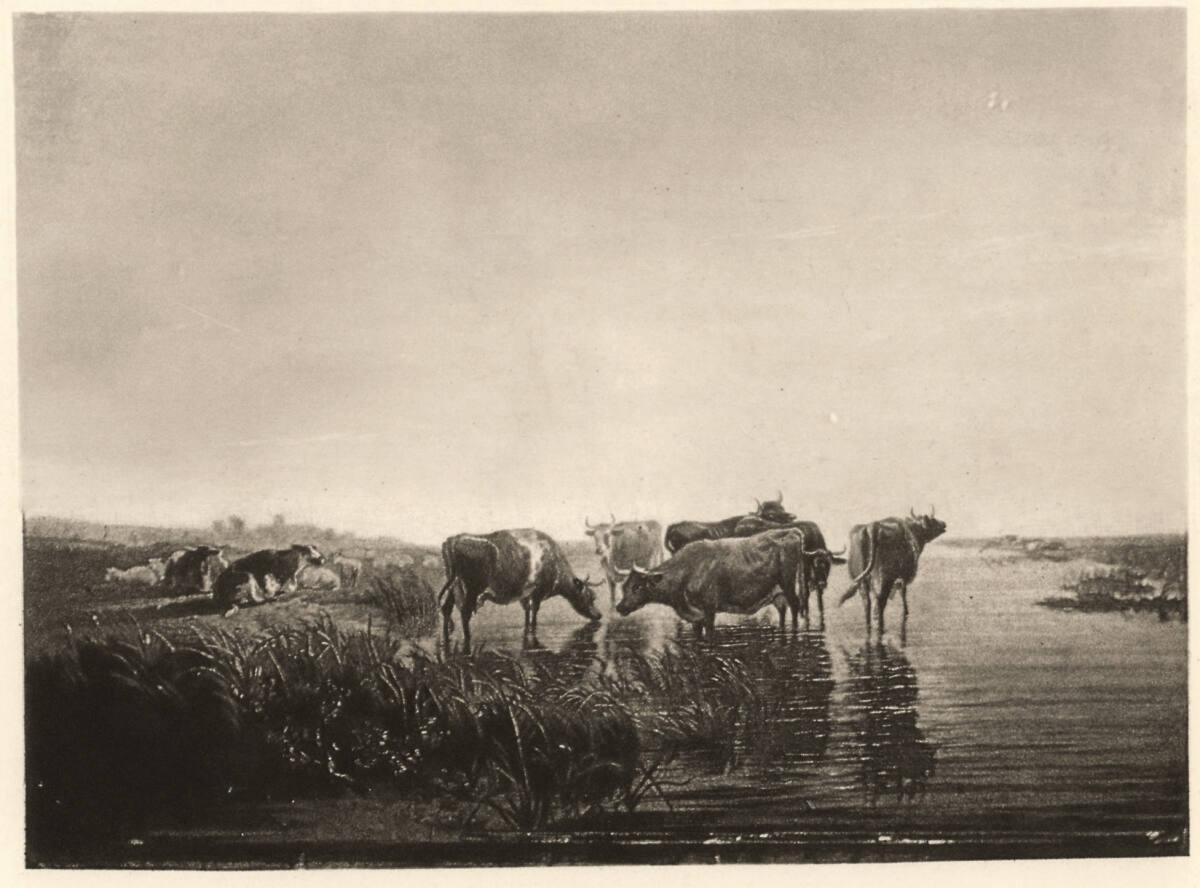 Paul Pretsch, Cattle after Sidney Cooper, Inv. Nr.: FotoGLV2000/8455