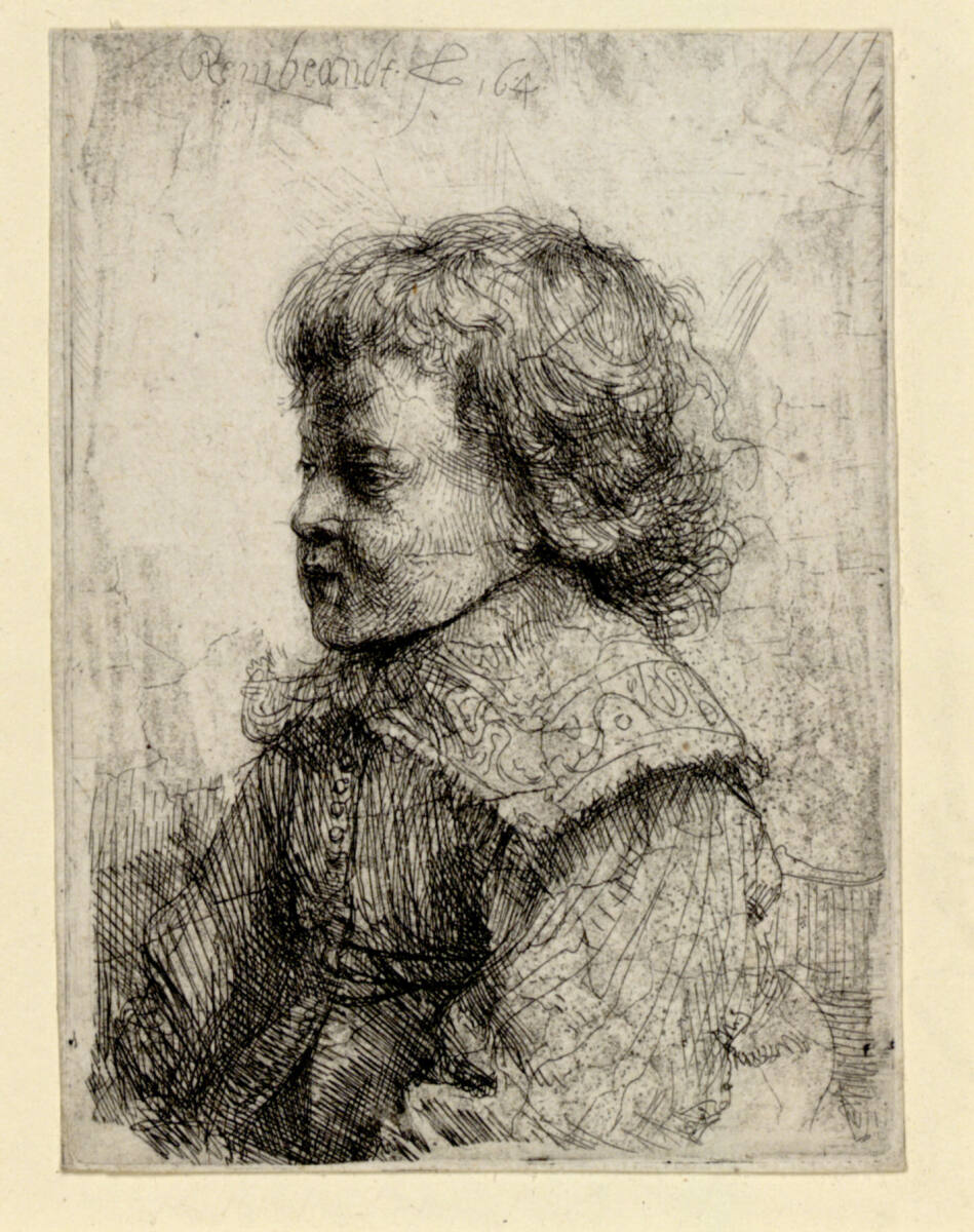Bildnis eines Knaben im Profil, Rembrandt, 1641
