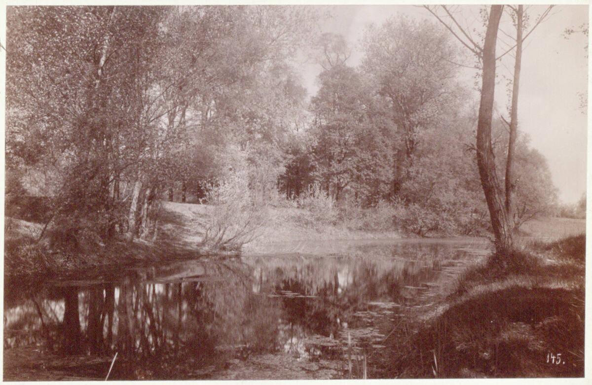 Victor Angerer, Naturstudie, Inv. Nr.: FotoGLV2000/4969/8