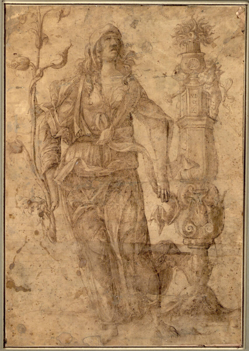 Ceres, CosmeTura