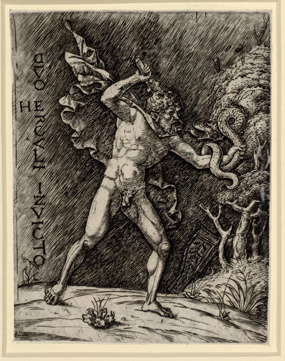 Anonym, Herkules und die Hydra, Inv. Nr.: DG1951/414
