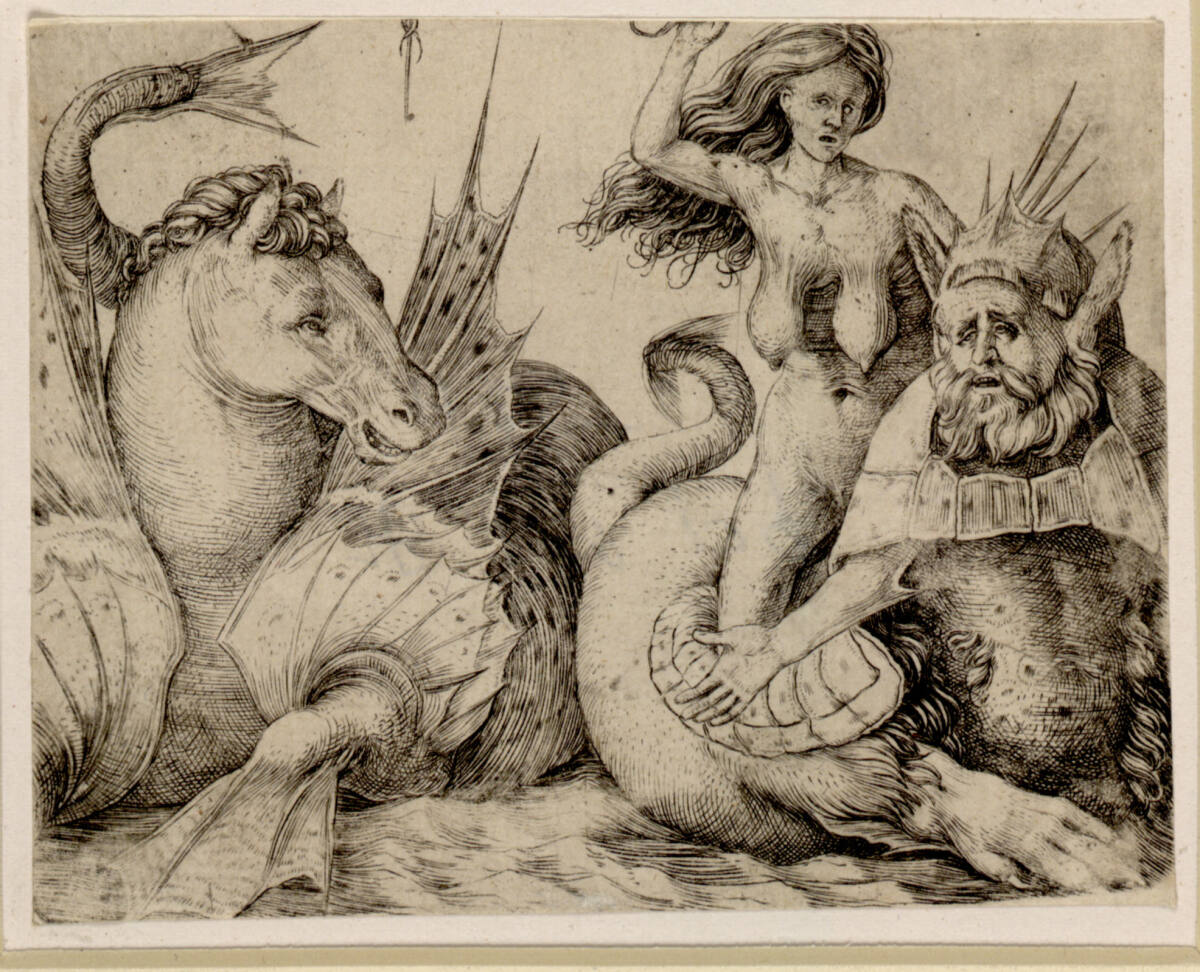Alte Frau, auf einem Triton reitend, Jacopo de' Barbari