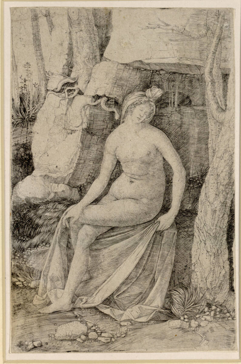 Kleopatra, Jacopo de' Barbari