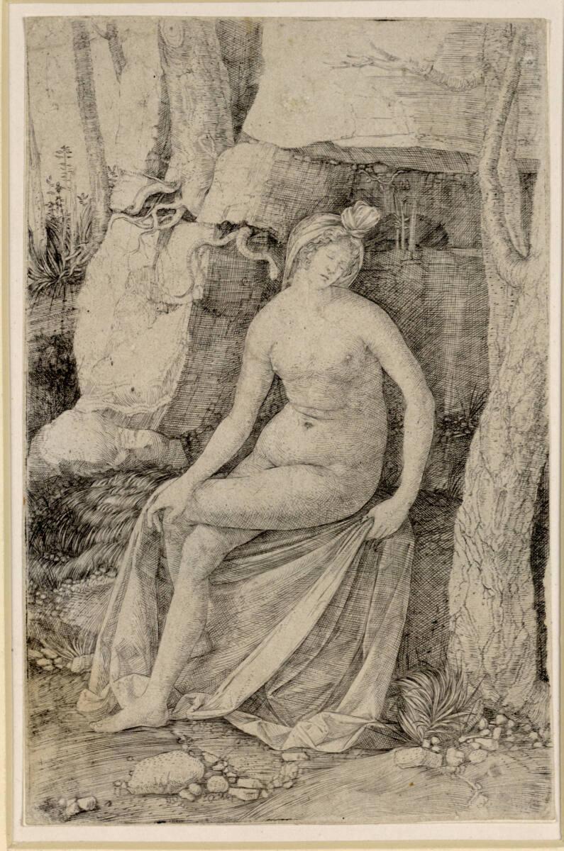 Jacopo de´ Barbari, Kleopatra, Inv. Nr.: DG1952/454