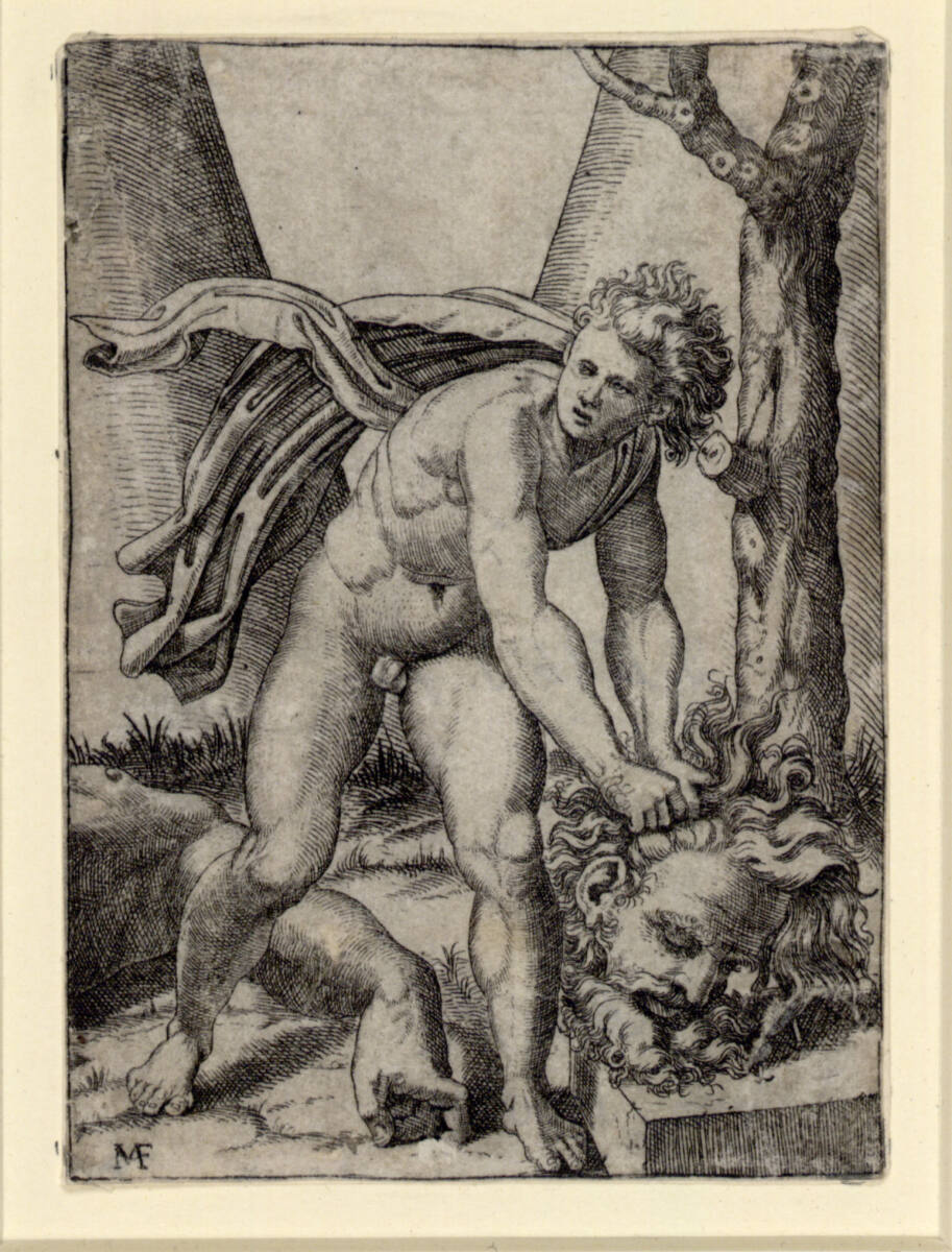 David mit dem Haupt des Goliath, Raphael
