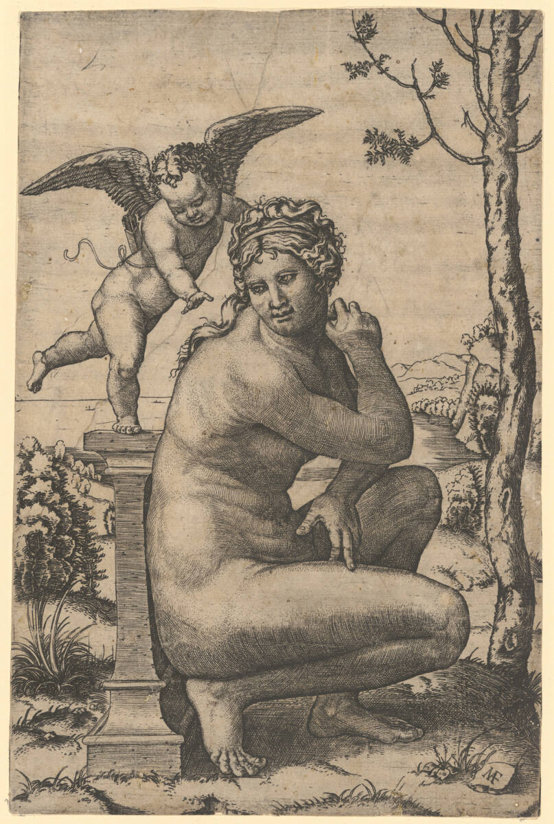 Kauernde Venus, Francesco Francia