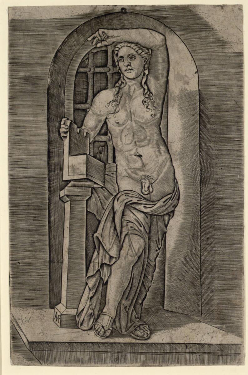 Marcantonio Raimondi, Apollo, Inv. Nr.: DG1971/342