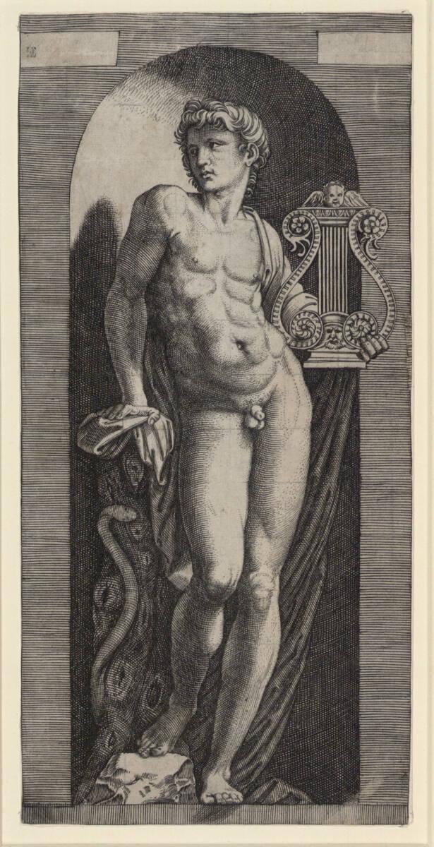 Marcantonio Raimondi, Apollo, Inv. Nr.: DG1971/347
