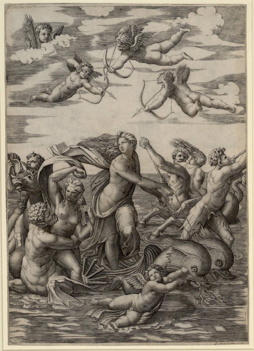 Marcantonio Raimondi, Triumph der Galathea, Inv. Nr.: DG1971/360