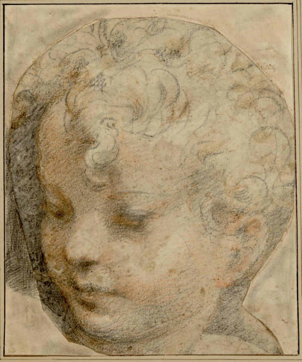 Francesco Mazzola, gen. il Parmigianino, Kopf des Christuskindes, Inv. Nr.: 2615