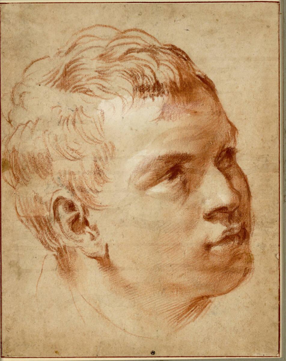 Agostino Carracci, Kopf eines Jünglings nach rechts, Inv. Nr.: 2617