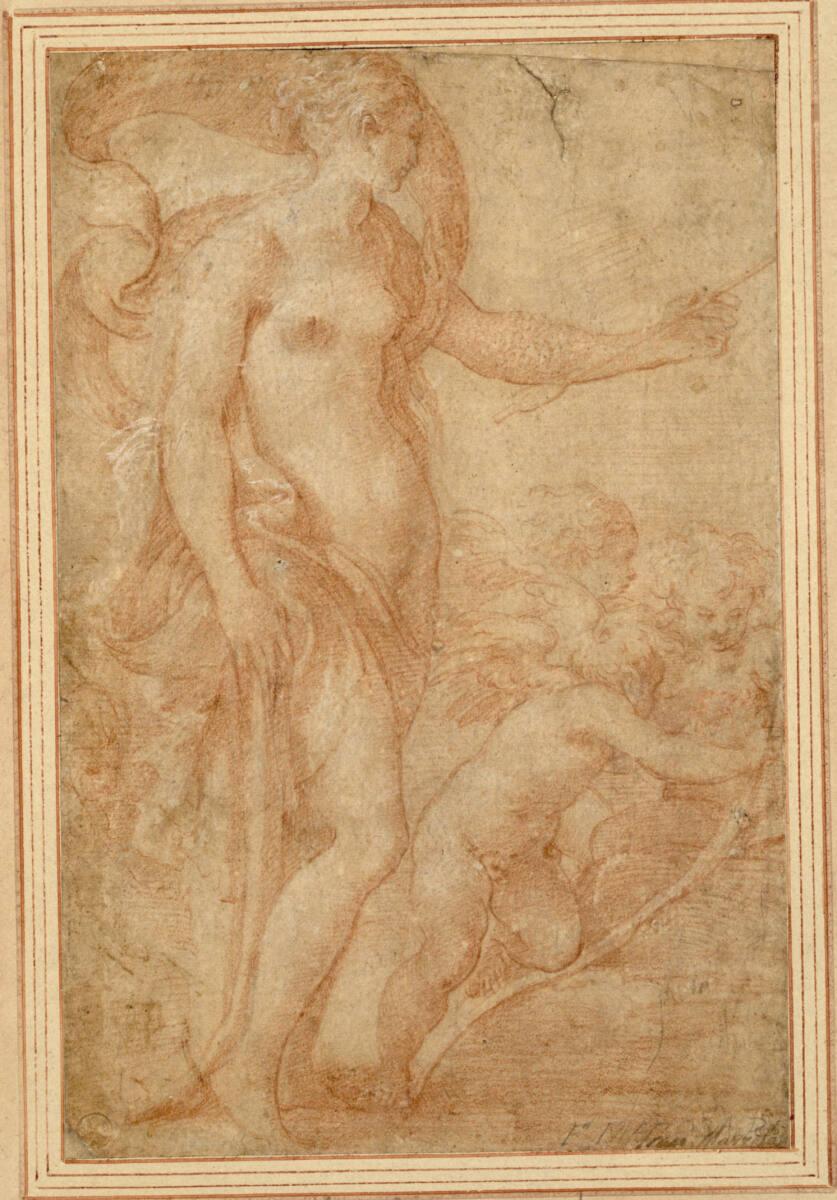Francesco Mazzola, gen. il Parmigianino, Venus mit Cupido und Amoretten, Inv. Nr.: 2663