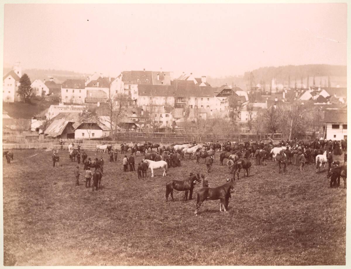 Ferdinand Ritter von Staudenheim, Pferdemarkt auf freiem Feld vor einer Ortschaft, Inv. Nr.: Fo…