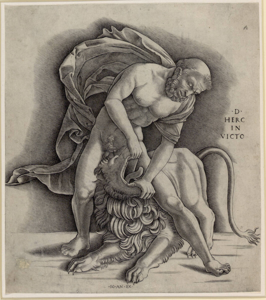 Herkules und der nemeische Löwe, Giovanni Antonio da Brescia
