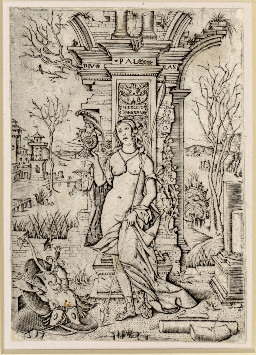 Pallas Athene, Nicoletto da Modena