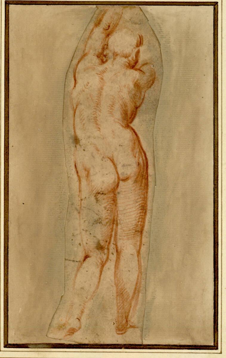 Girolamo Romanino?, Männlicher Akt in Rückenansicht, Inv. Nr.: 2693