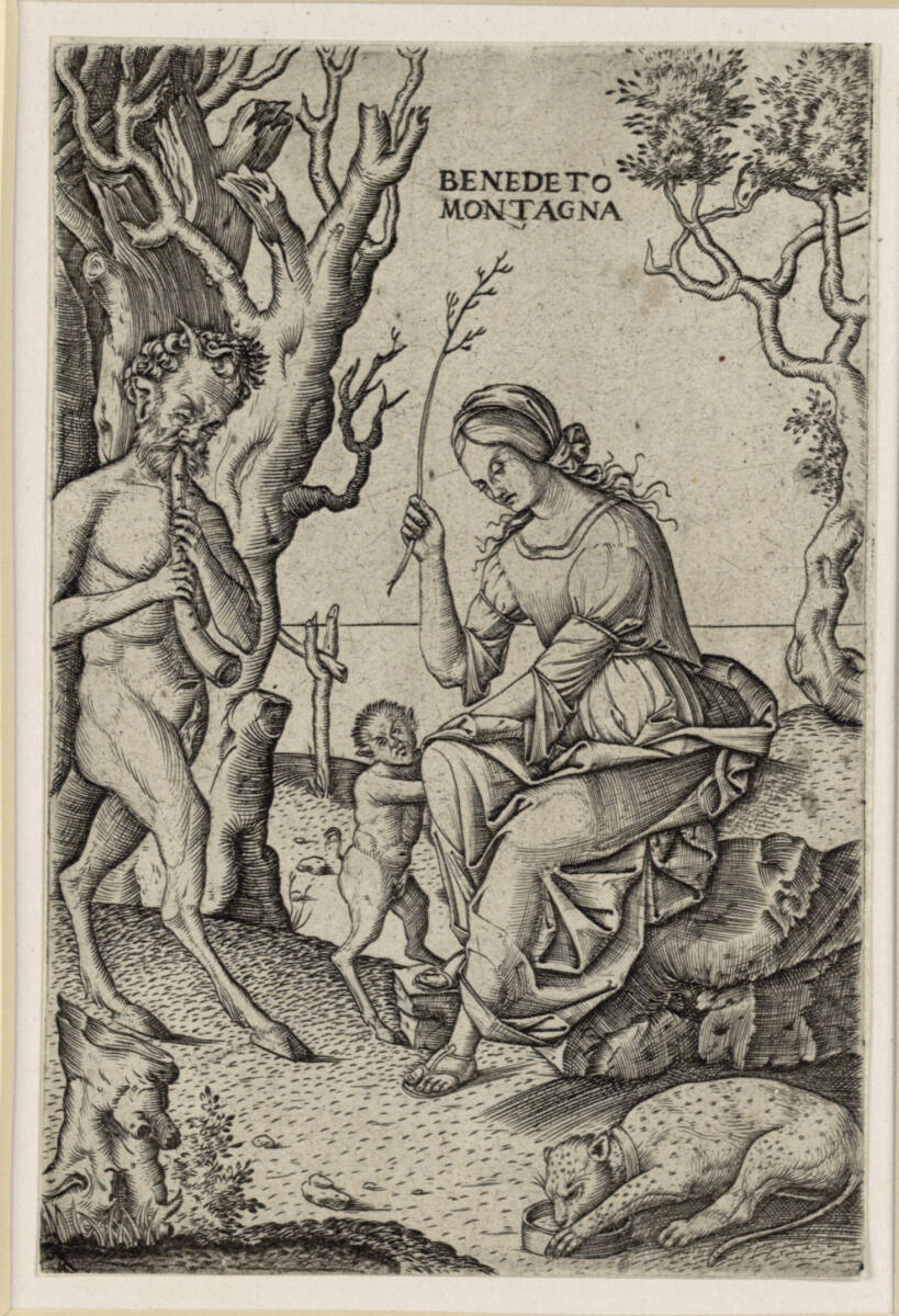 Satyrfamilie, Benedetto Montagna