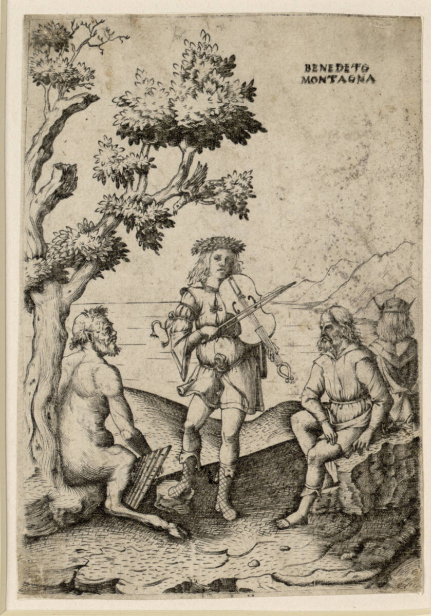Apollo und Pan, Benedetto Montagna