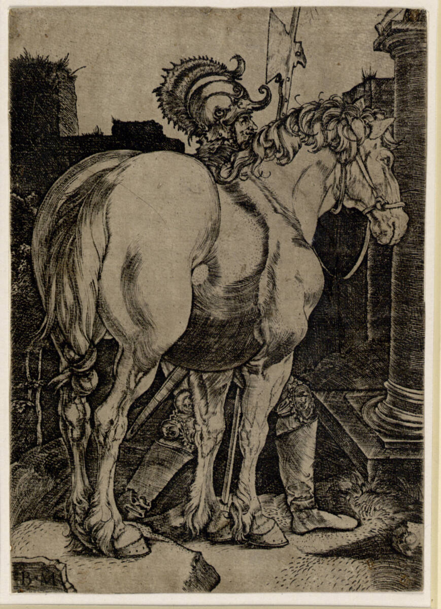 Das große Pferd, Benedetto Montagna