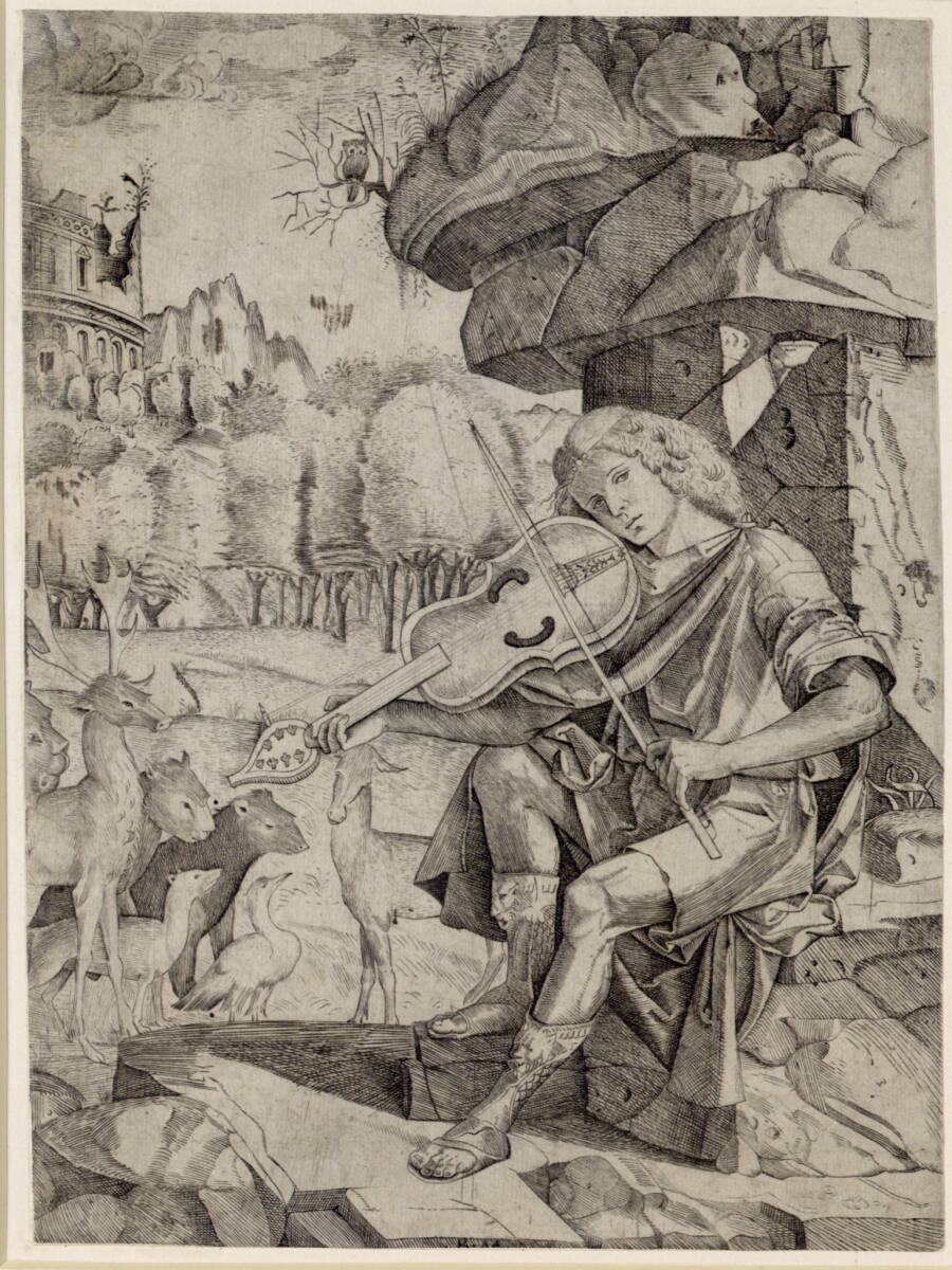 Benedetto da Montagna, Orpheus, Inv. Nr.: DG1954/86