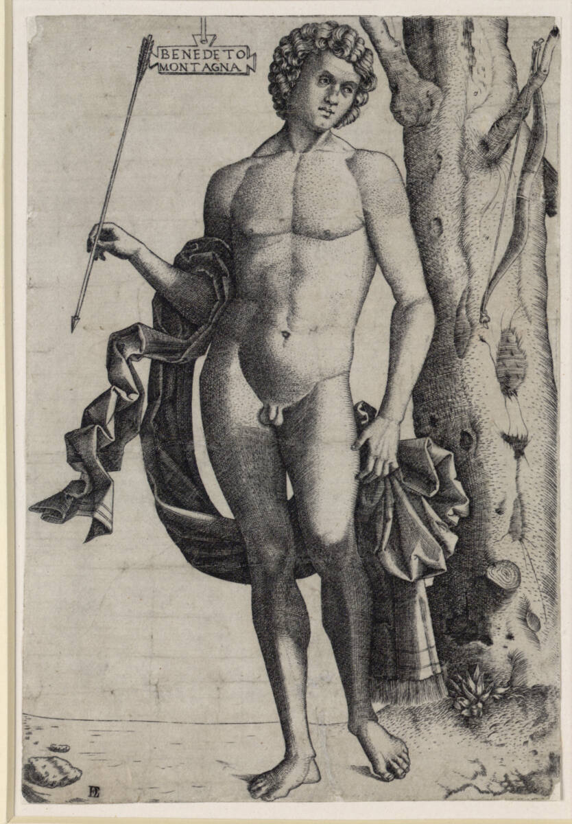 Mann mit Bogen, Benedetto Montagna