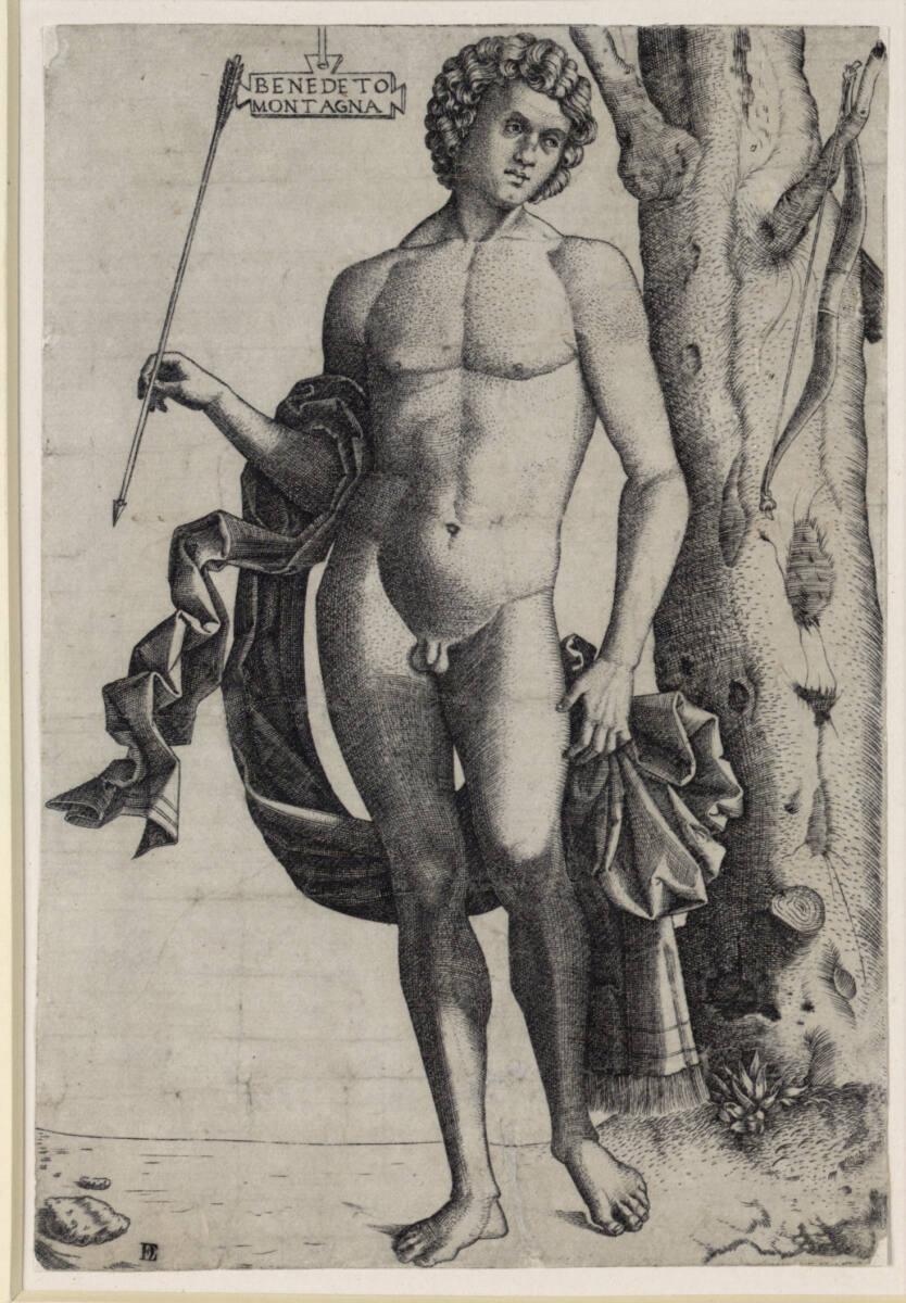 Benedetto da Montagna, Mann mit Bogen, Inv. Nr.: DG1954/92