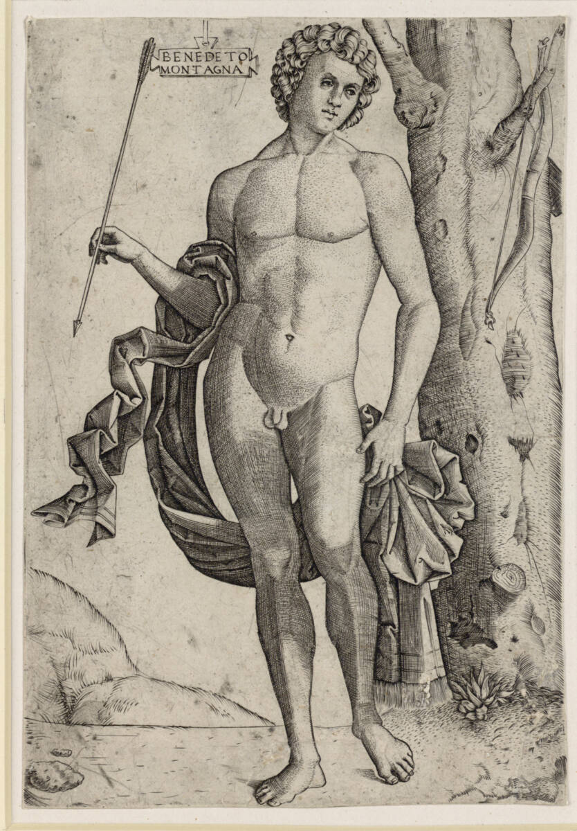 Mann mit Bogen, Benedetto Montagna
