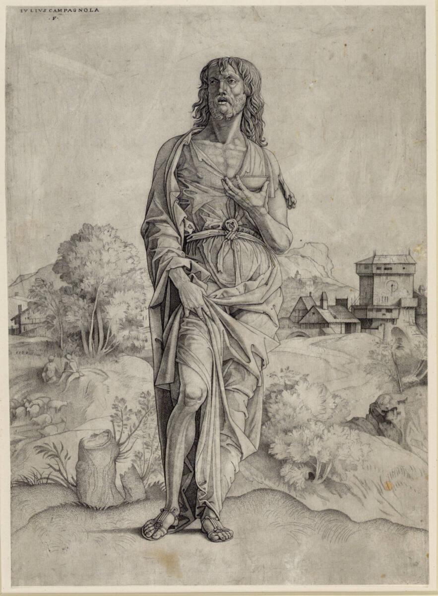 Giulio Campagnola, Johannes der Täufer, Inv. Nr.: DG1954/158