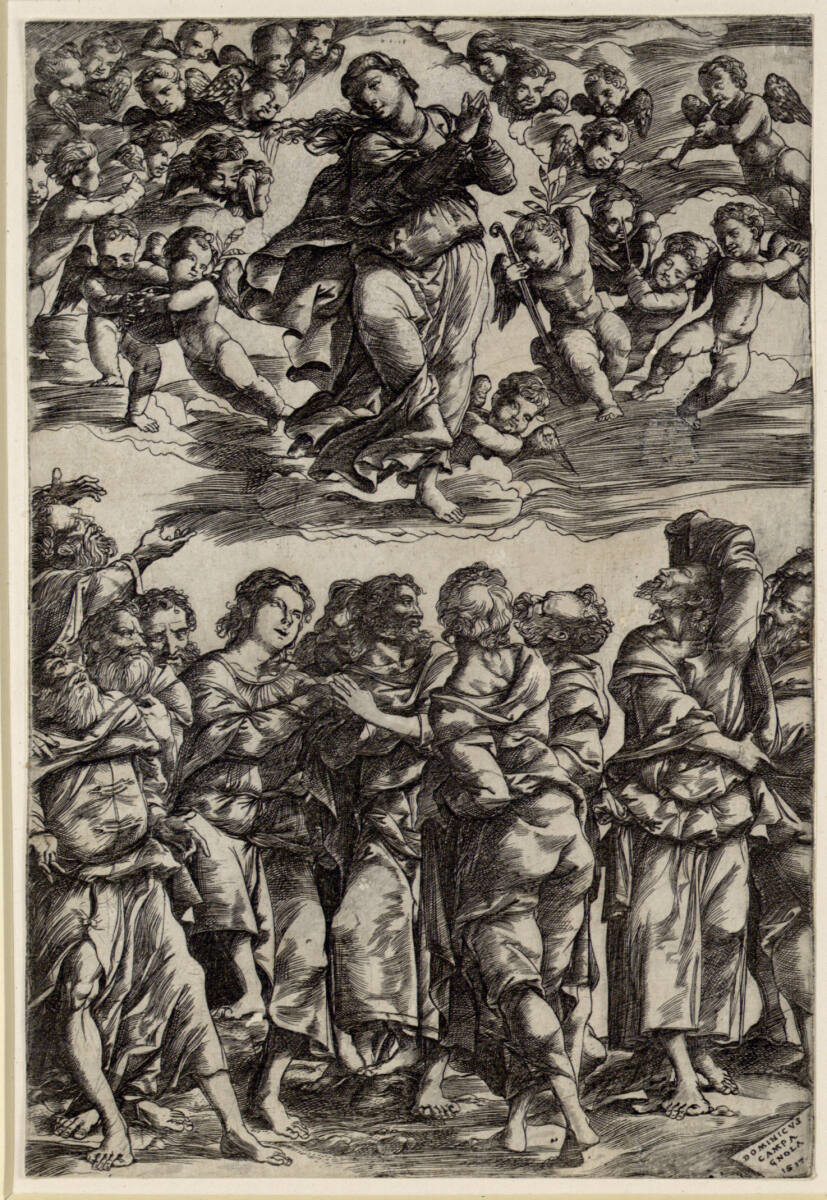 Mariä Himmelfahrt, Domenico Campagnola, 1517