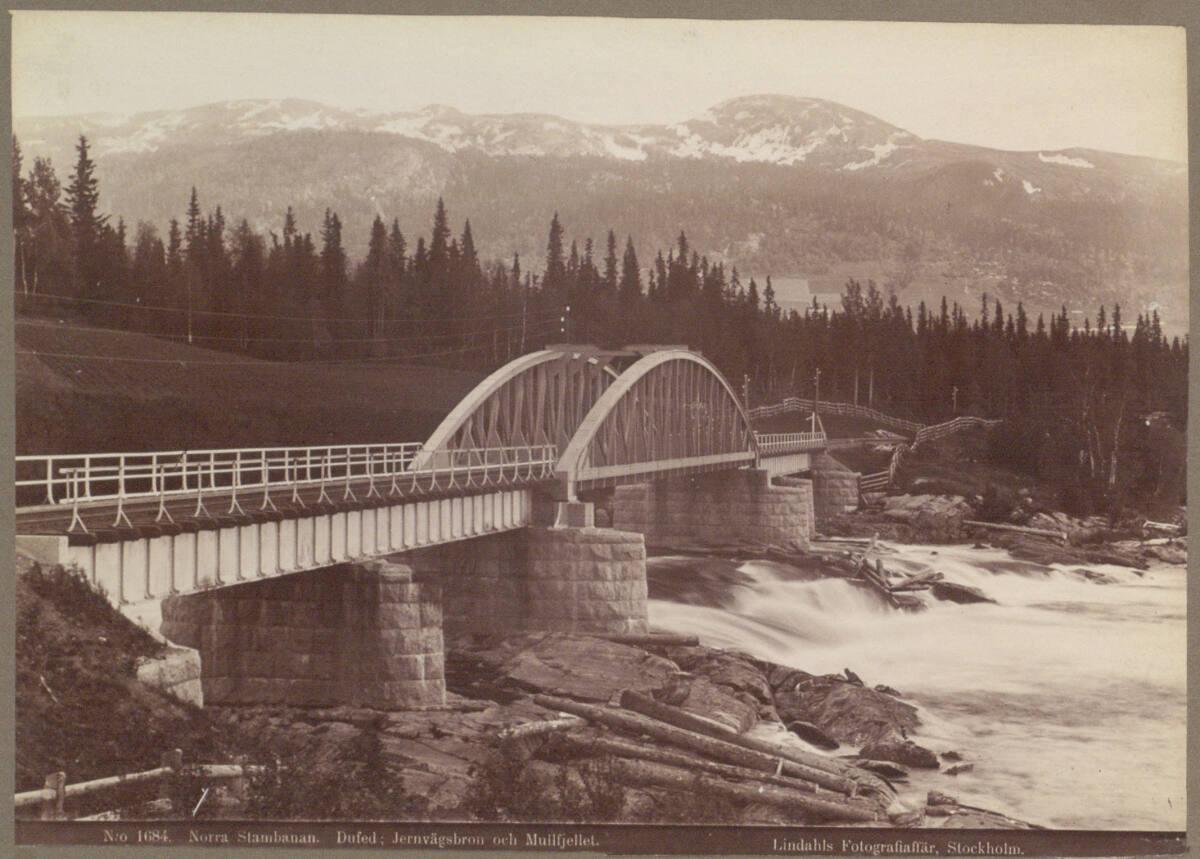 Axel Lindahl, Brücke über einen breiteren, bewegten Fluß, im Hintergrund eine Bergkette, Inv. N…