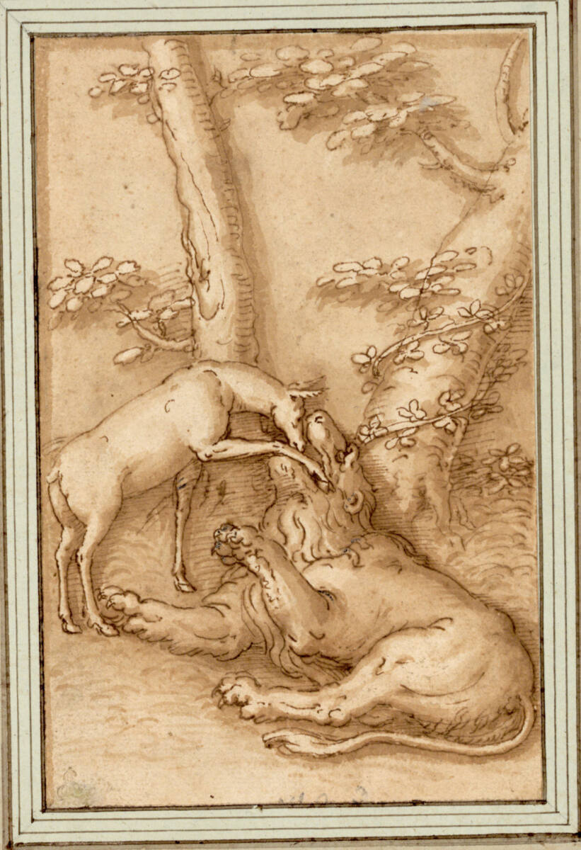 Eine Hirschkuh sieht einem Löwen in den Rachen, Bernardino Campi