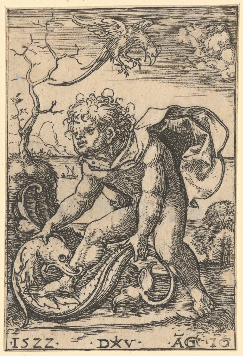 Dirk Jakobsz. Vellert, Mann mit Fisch, Inv. Nr.: DG1949/600