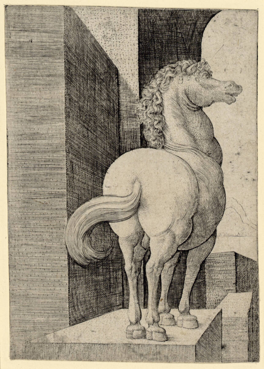 Ein Pferd, FransCrabbe, 1520–1530